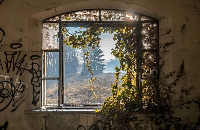 Только граффити все портят