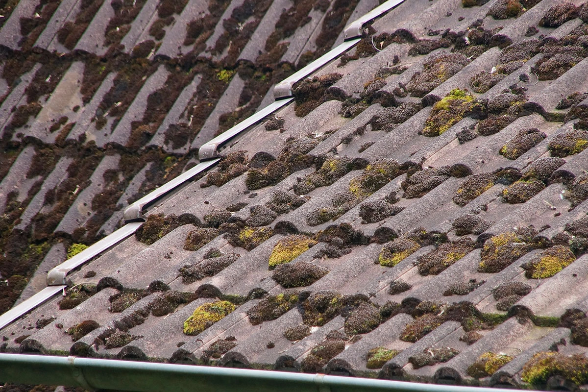 Асбестовый шифер