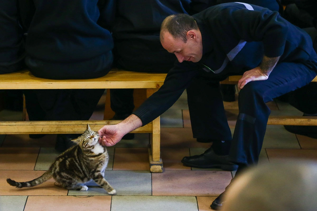 колония строгого режима ИК-41 в Уссурийске