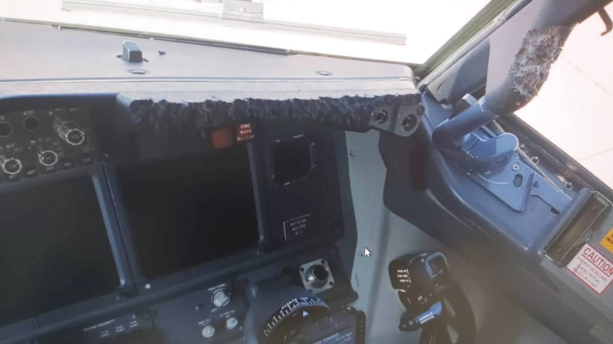 Следы пребывания кошки в самолете Следы пребывания кошки в самолете