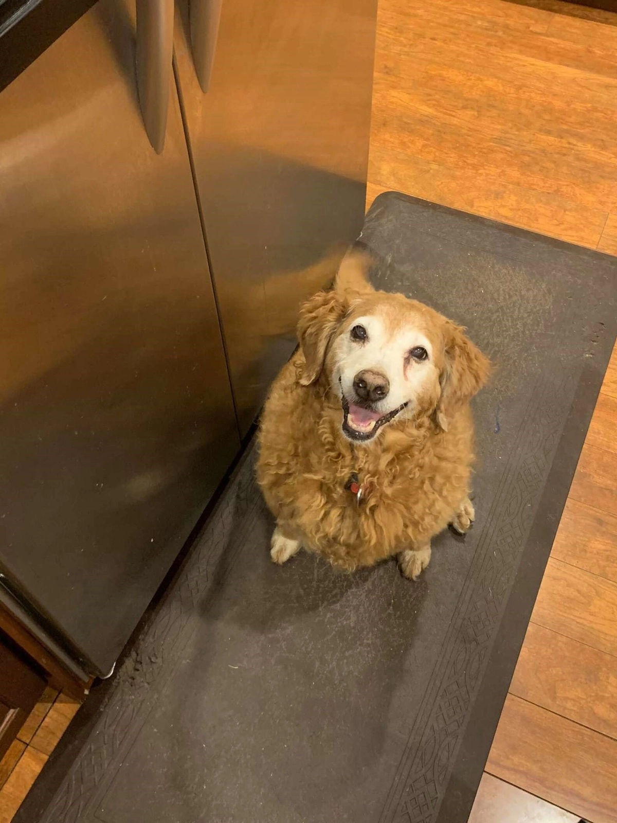 Ну разве перед ней можно устоять?