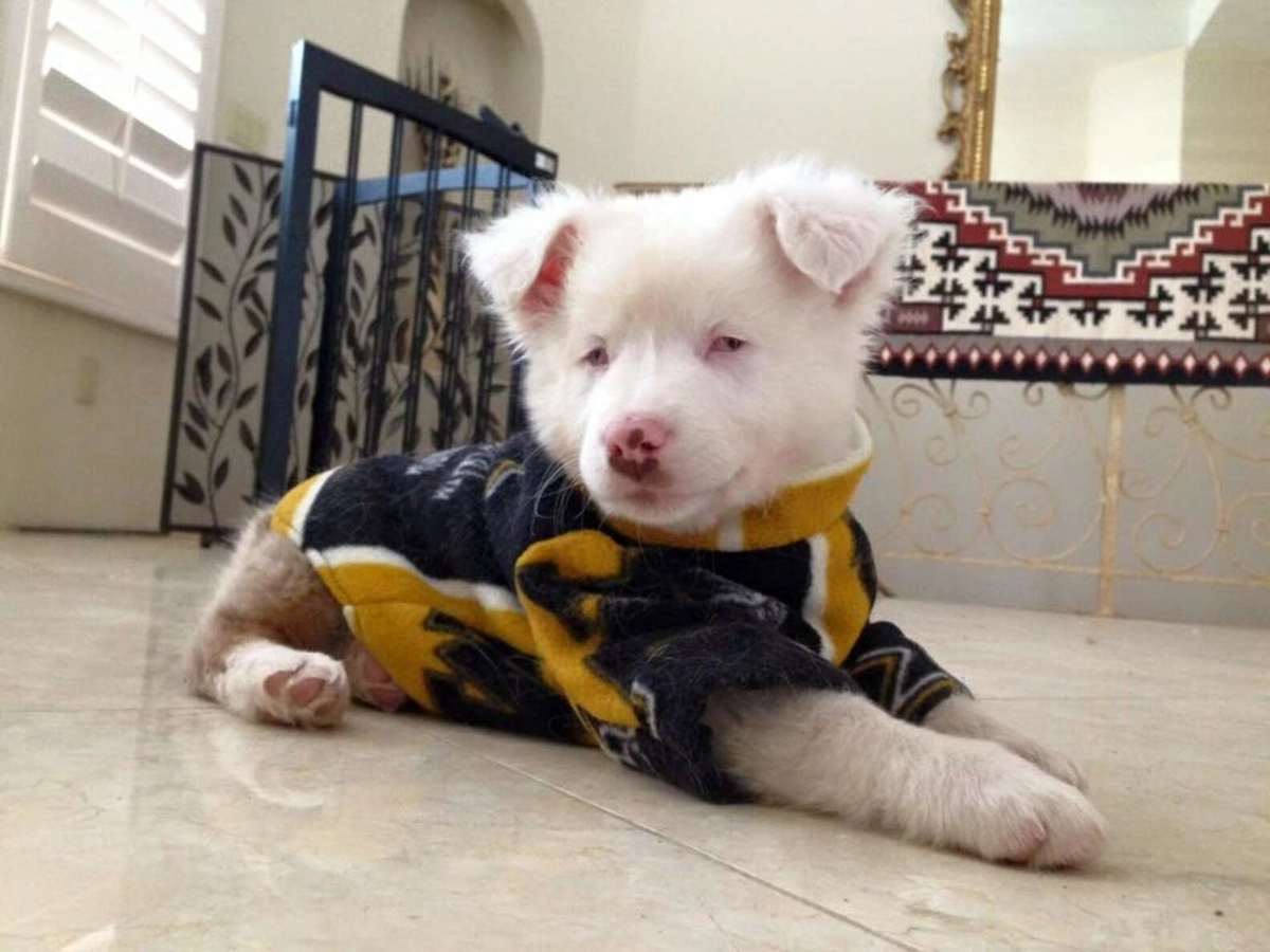 Битси в детстве.