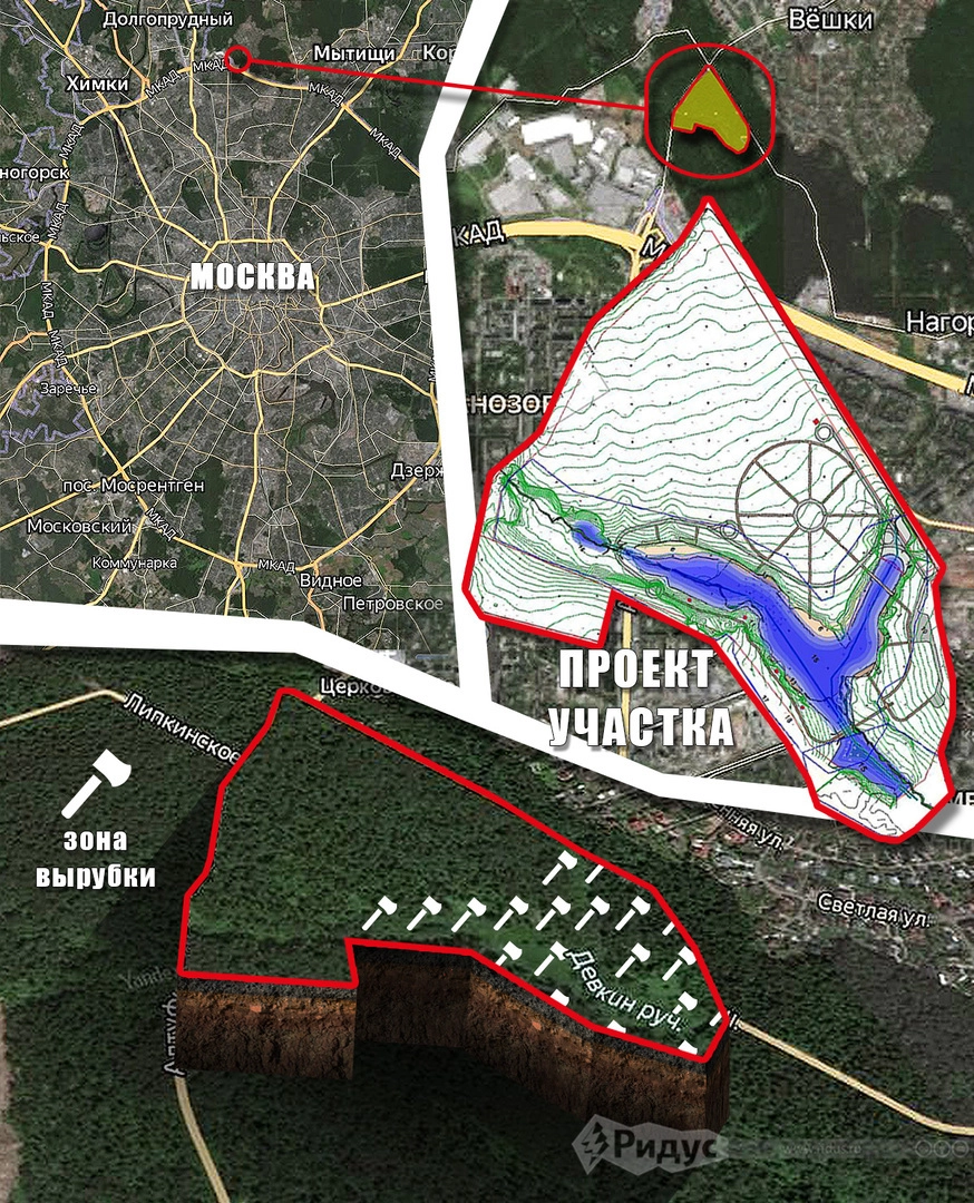 © Инфографика/Ridus.ru