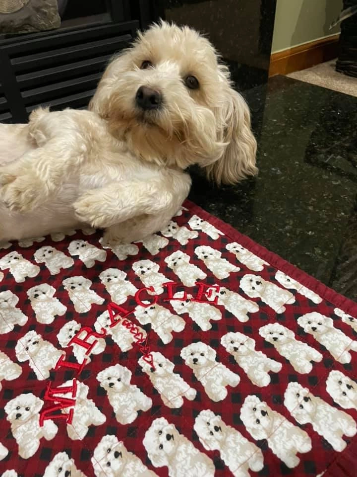 Альфонсо в своем новом доме.