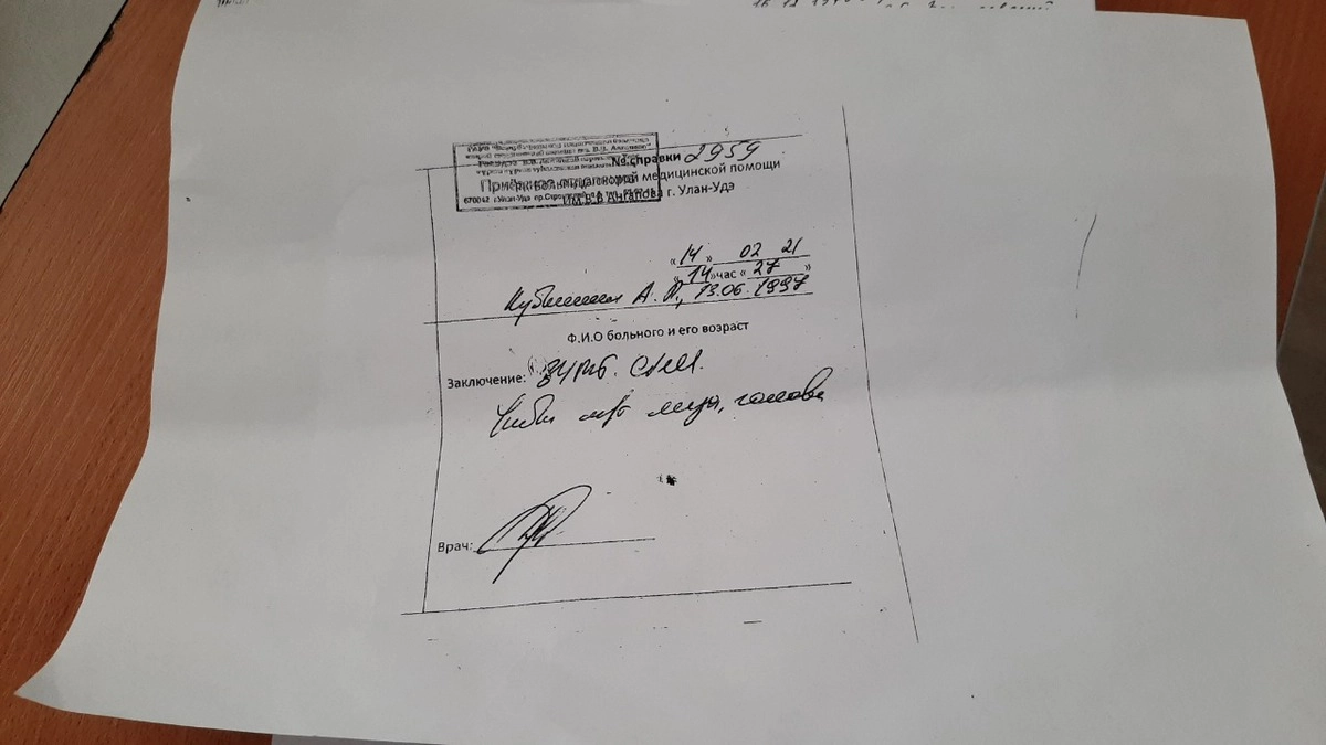 Справка о побоях, полученных Алексеем Кубышкиным