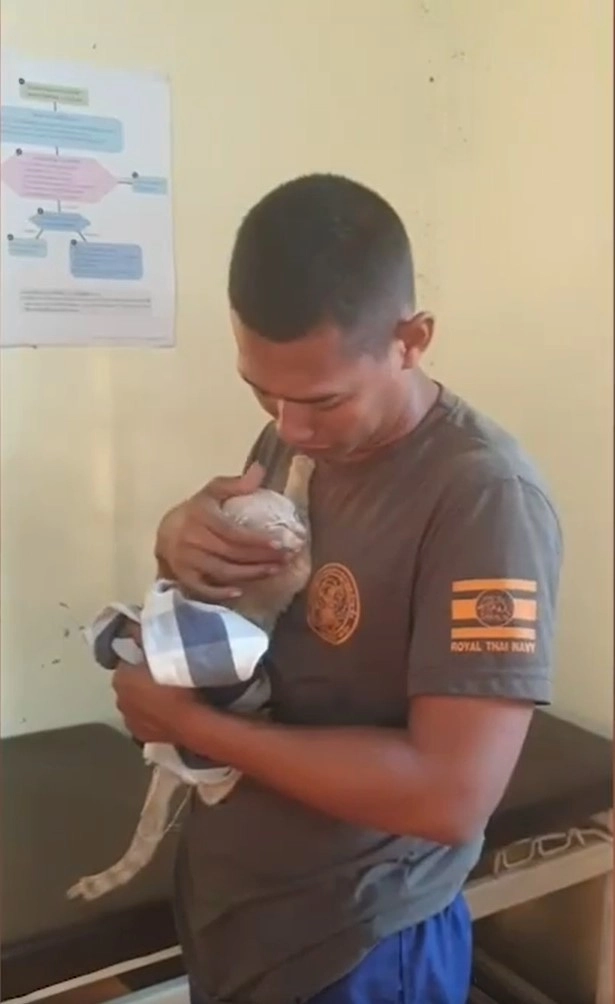 Теперь котята в полной безопасности.