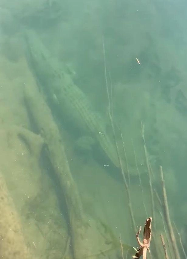 Маскировка восьмидесятого уровня