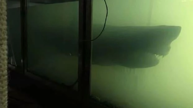 Выглядит действительно устрашающе