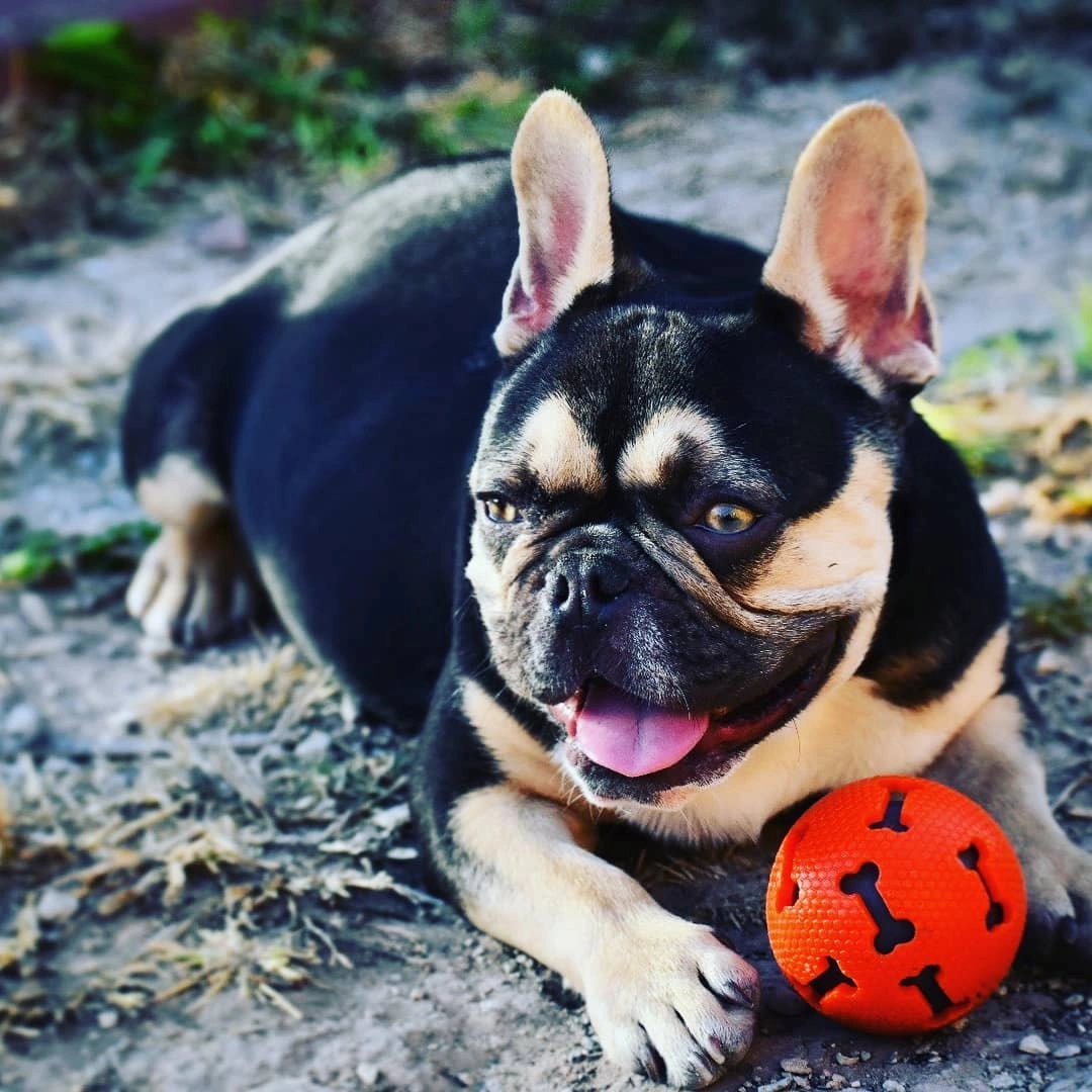 Один из кандидатов на должность дегустатора.