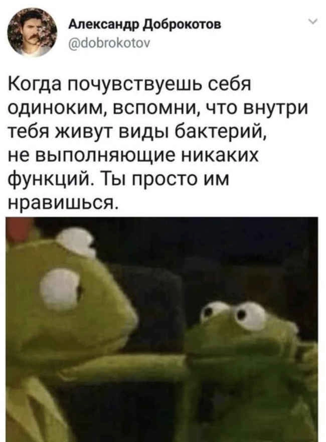 Кому-то ты точно нравишься 