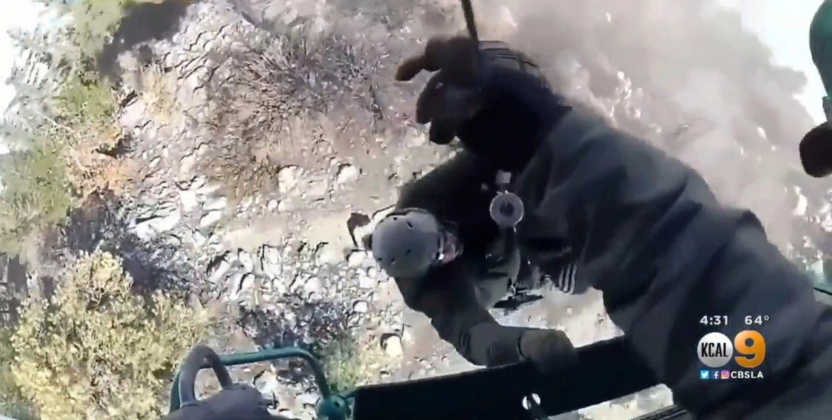 Через день Рене Компеан был найден.