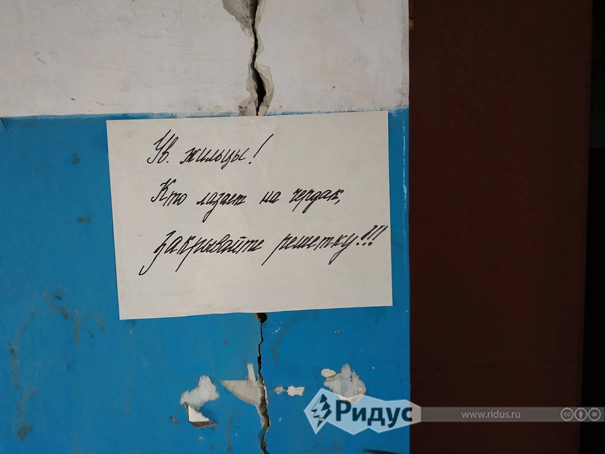 Соседская жизнь