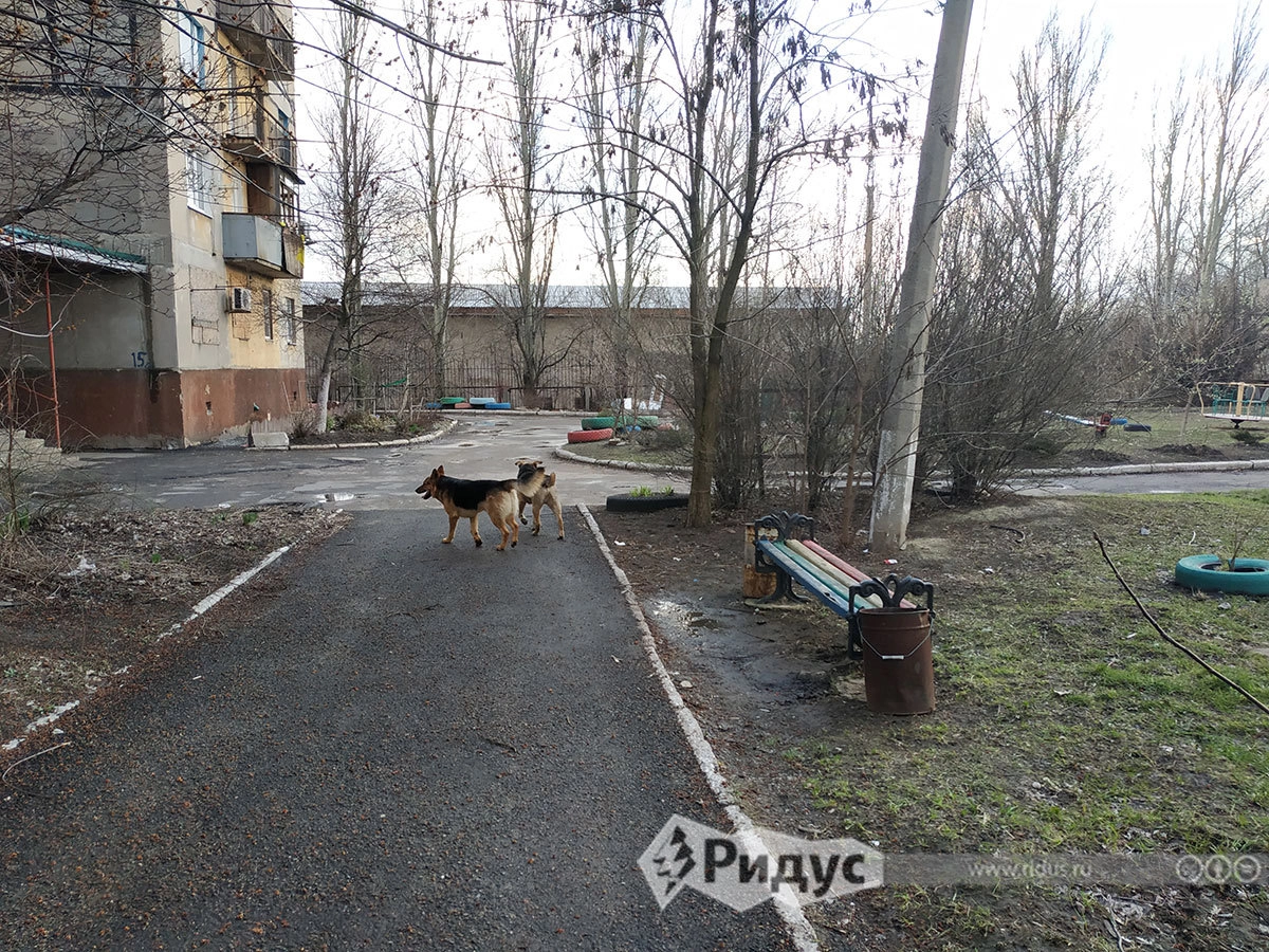 Опустевшие дворы