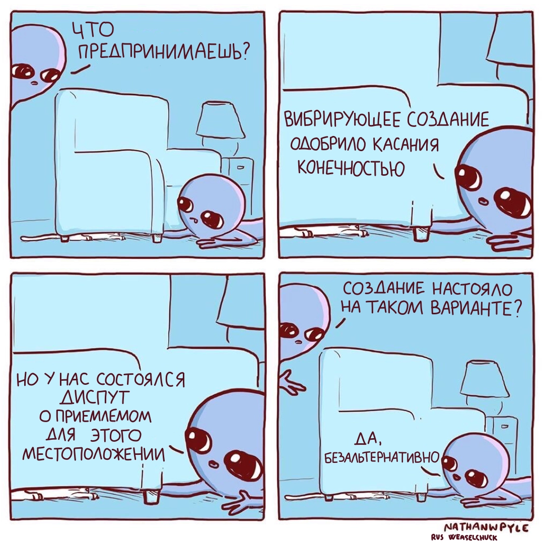 Кошка Кошка