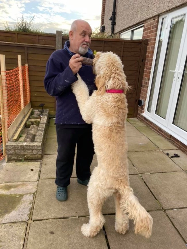 Но вскоре Винни стал очень крупным мальчиком. Но вскоре Винни стал очень крупным мальчиком.