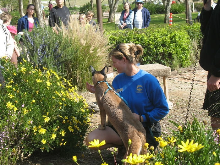 Надевайте в зоопарк одежду тех же цветов, что носят сотрудники. Тогда животные будут более дружелюбны к вам 