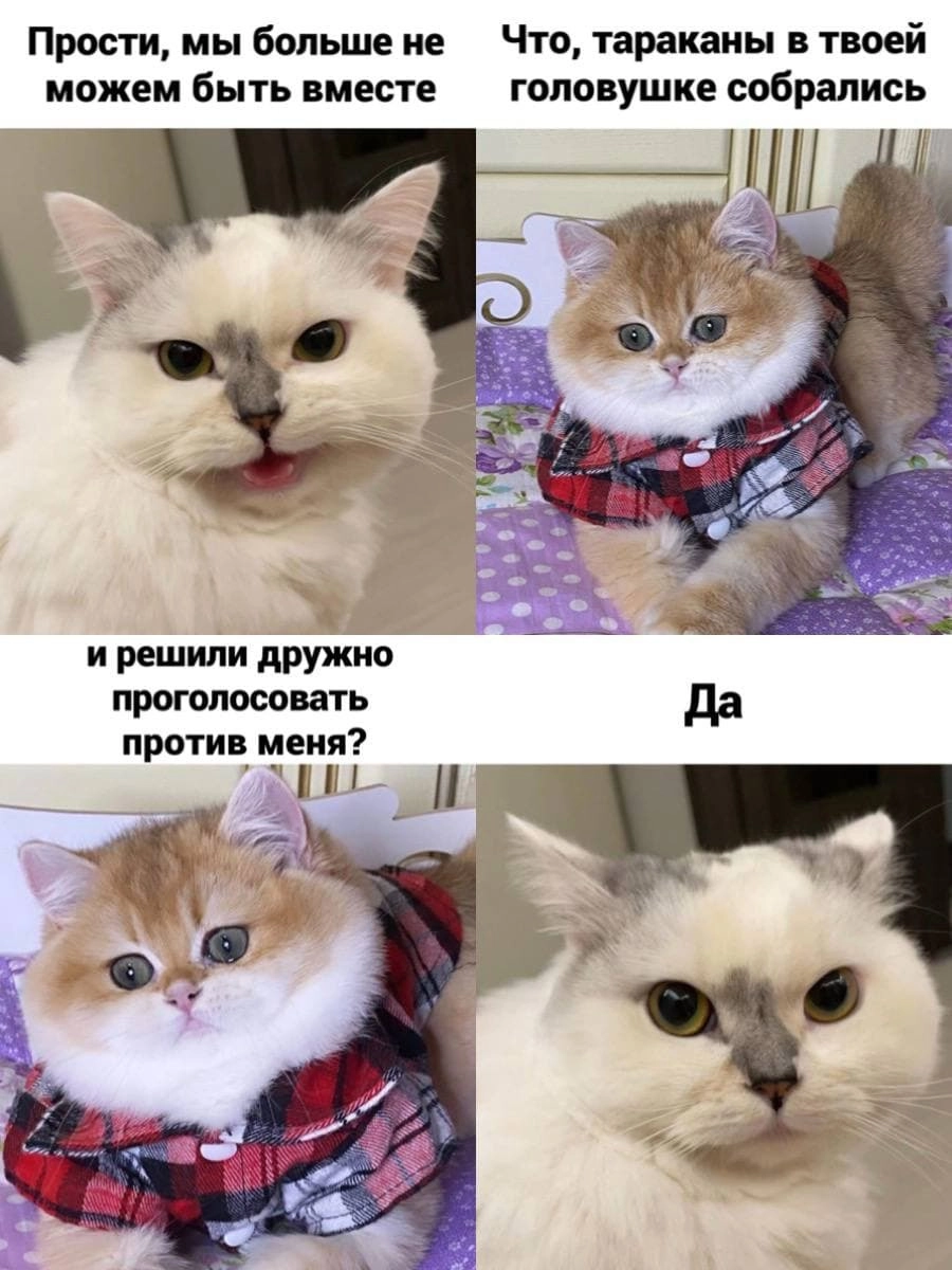 Коллективное решение 