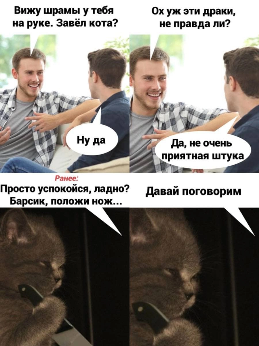 Жизнь с котами опасна и трудна 