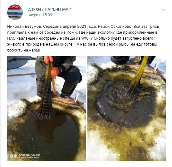 Так выглядит вода в устье Печоры