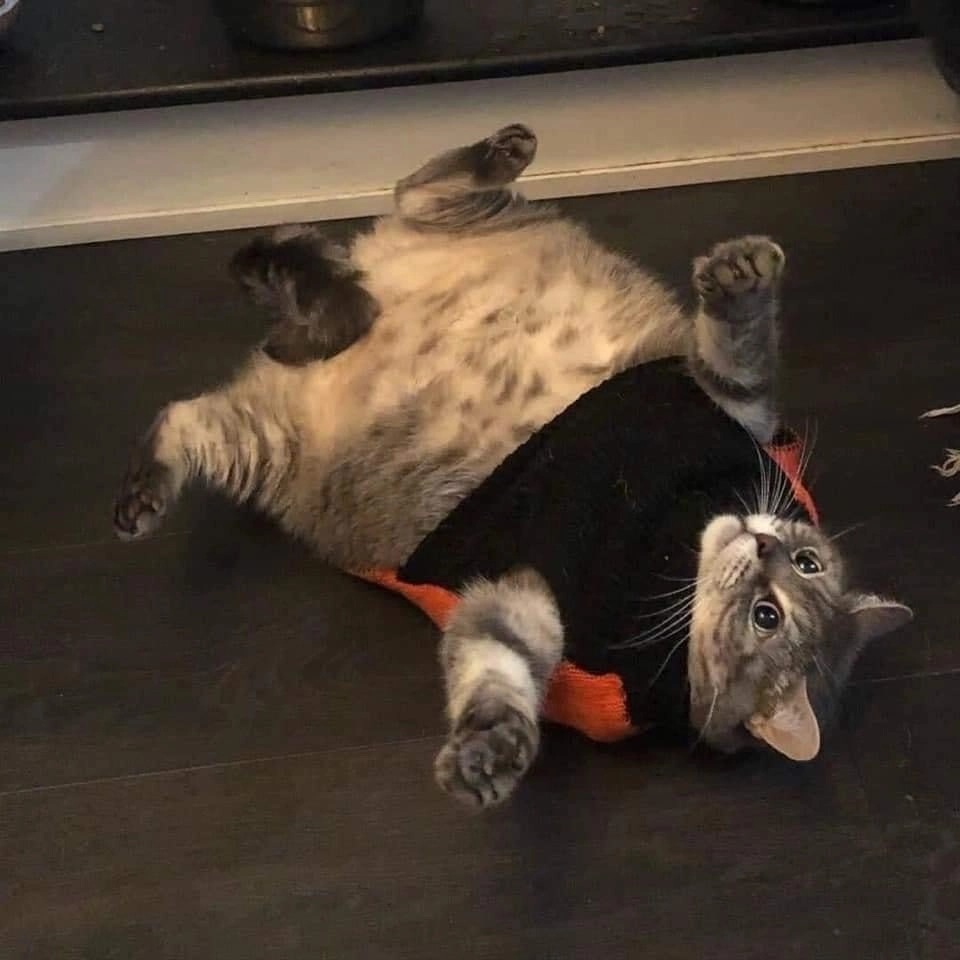 Немного растерялся 