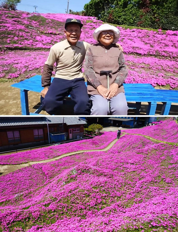 Мужчина потратил два года, чтобы посадить тысячи цветов для своей жены. Он хотел, чтобы она услышала их аромат. Это помогло ей выйти из депрессии 