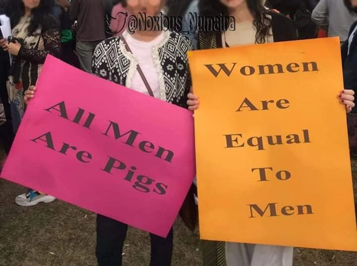 Американские феминистки. Надписи на плакатах: «Все мужики свиньи», «Мужчины и женщины равны».