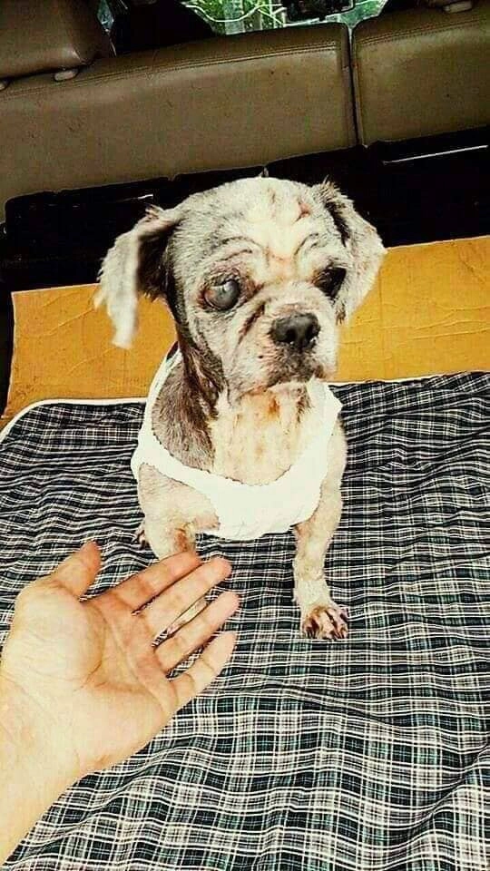 Такая милая девочка скрывалась под слоем грязи