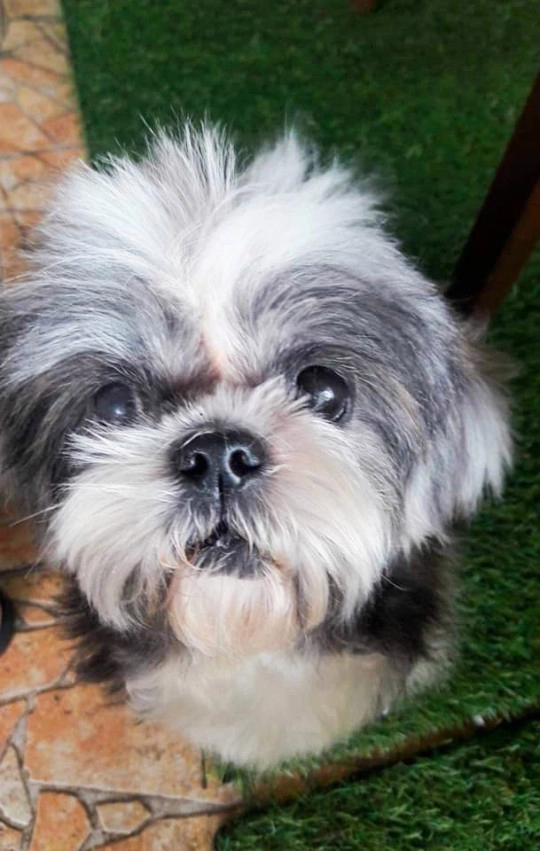 Вот как она выглядит сейчас