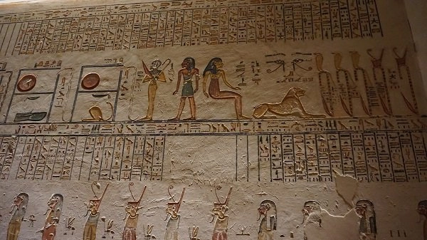 Египтяне также специально выращивали животных для мумификации. Они это делали, чтобы задобрить Богов, которым в жертву приносили кошек, крокодилов, баранов, ястребов 