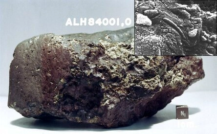 Марсианский метеорит Allan Hills 84001.