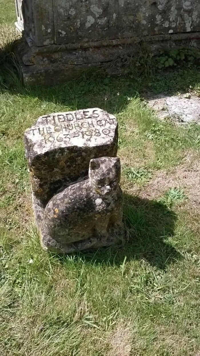 Памятник коту, который почти 20 лет прослужил в церкви 