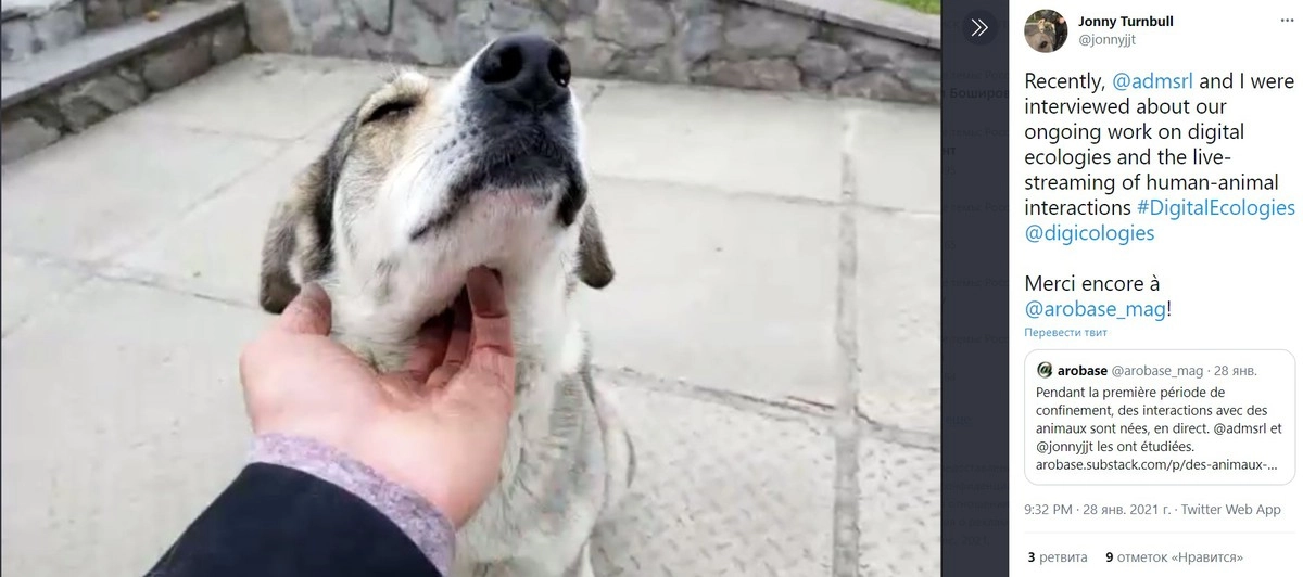 Охранники могут многое рассказать о собаках, населяющих зону отчуждения