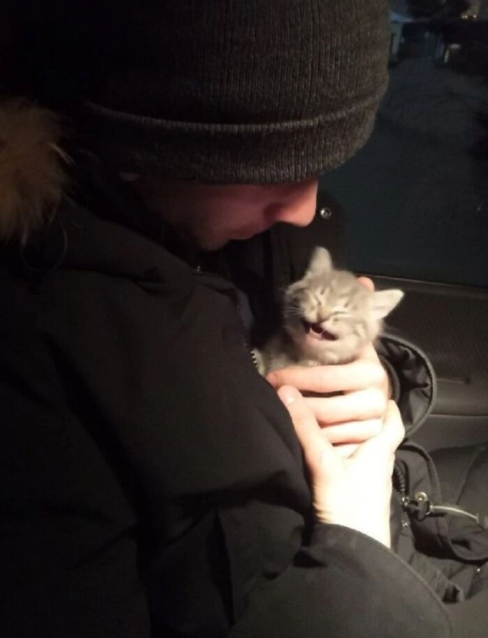 «Везу его в новый дом»