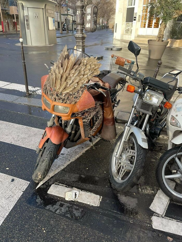 Когда ты одновременной байкер и птичник 