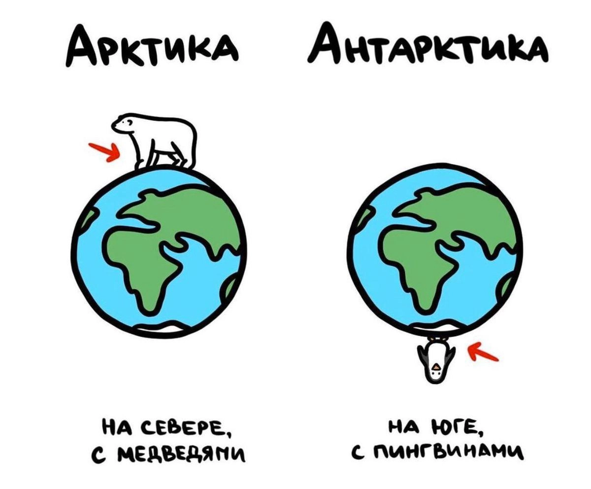 А вот чем Арктика отличается от Антарктики 