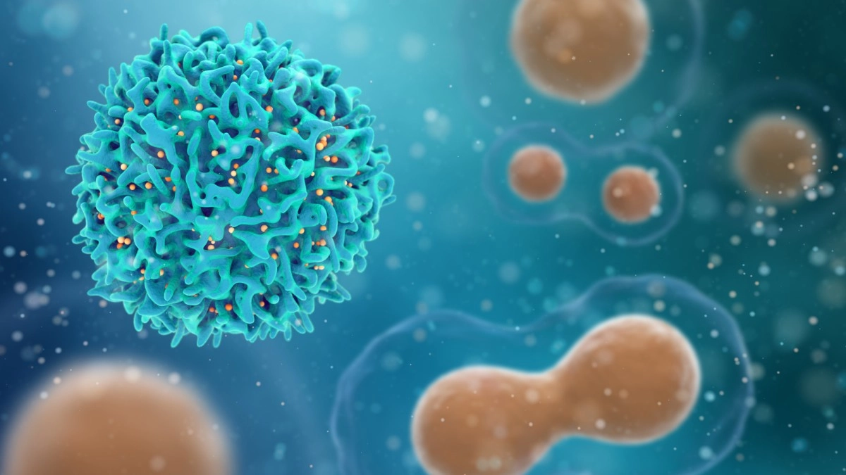 Один из перспективных способов лечения рака — это генетическое программирование Т-клеток.