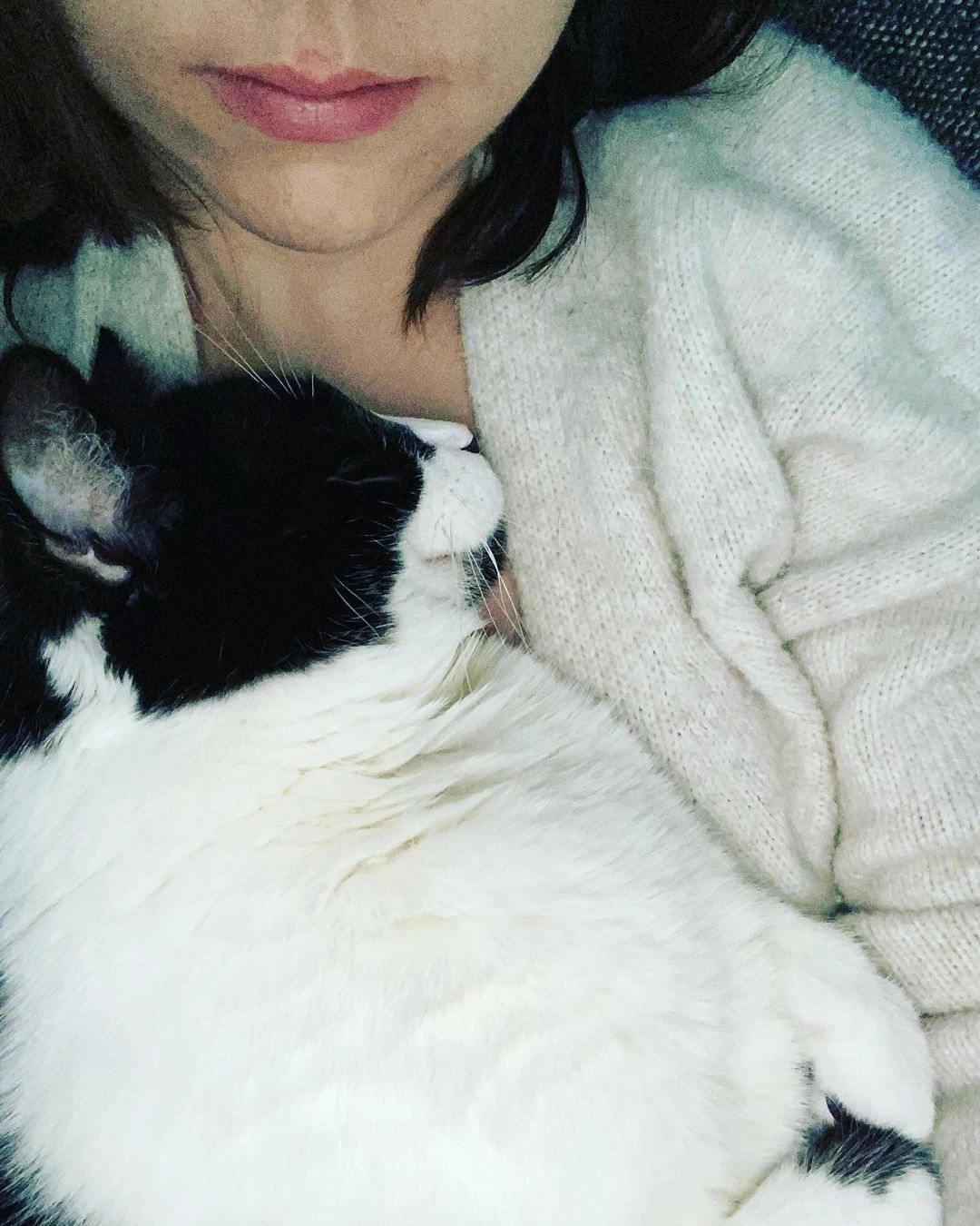 Однажды кот стал настойчиво ложиться на левую грудь хозяйки