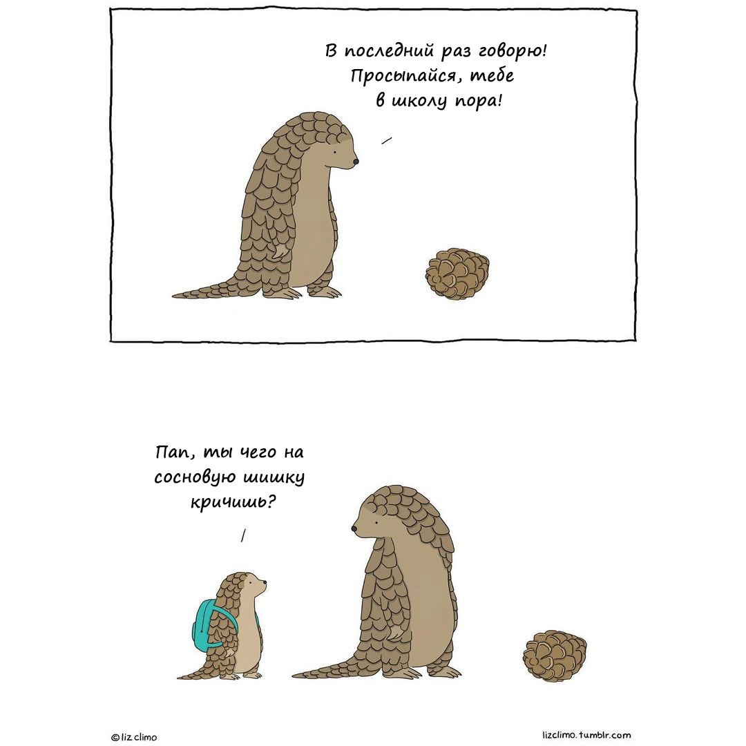 Просыпайся в школу Просыпайся в школу