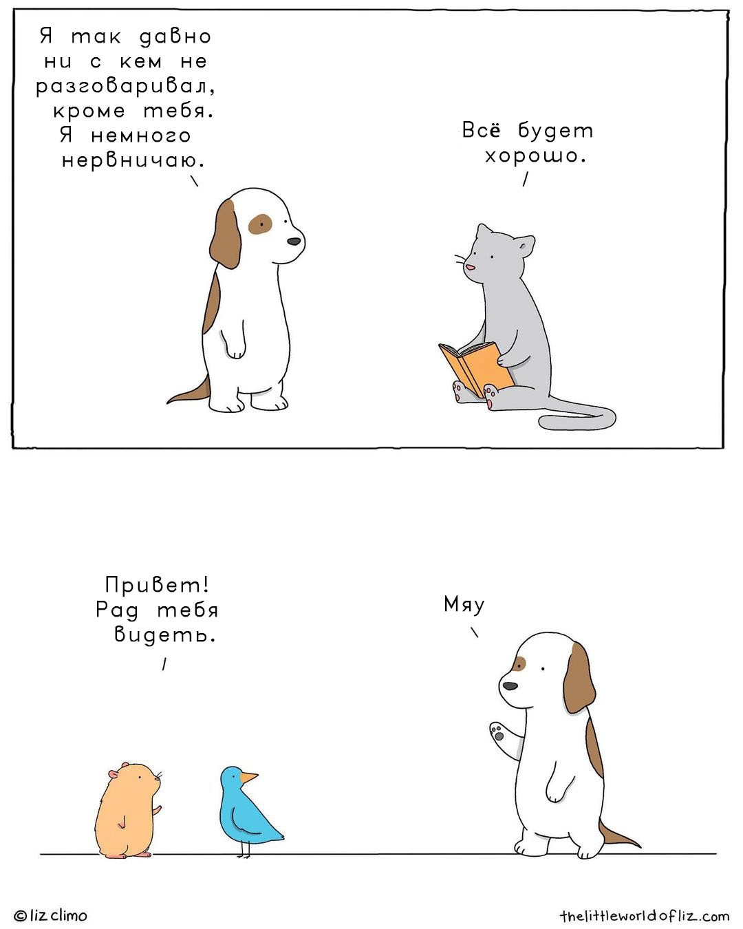 Выход из карантина Выход из карантина