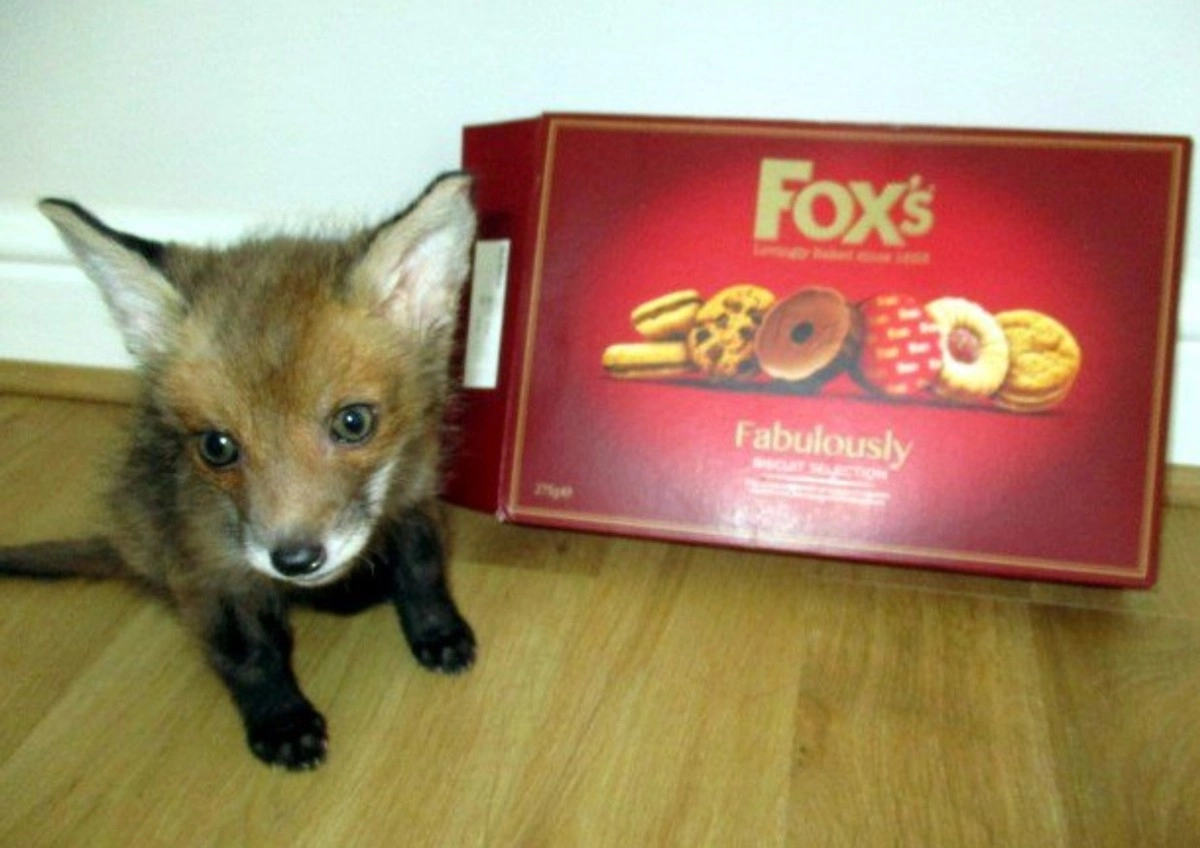 Бен в детстве.