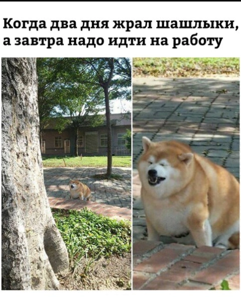 Так выглядит боль 