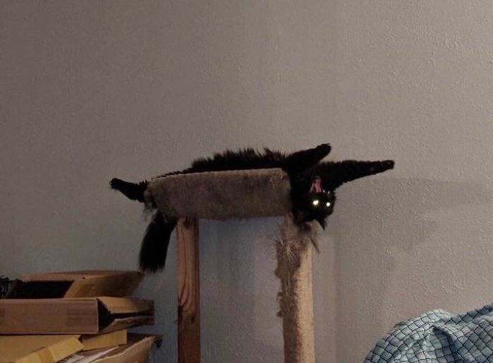 Вызывайте экзорциста 