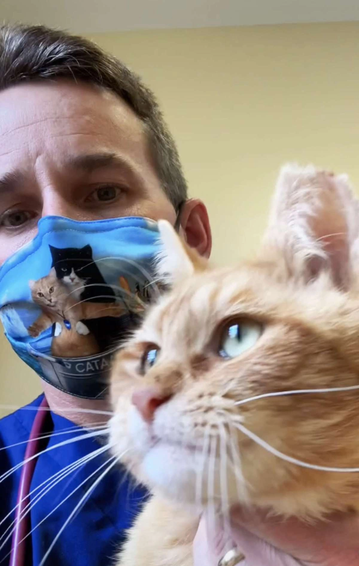Ветеринар осмотрел котейку и понял, что никаких причин для усыпления животного нет