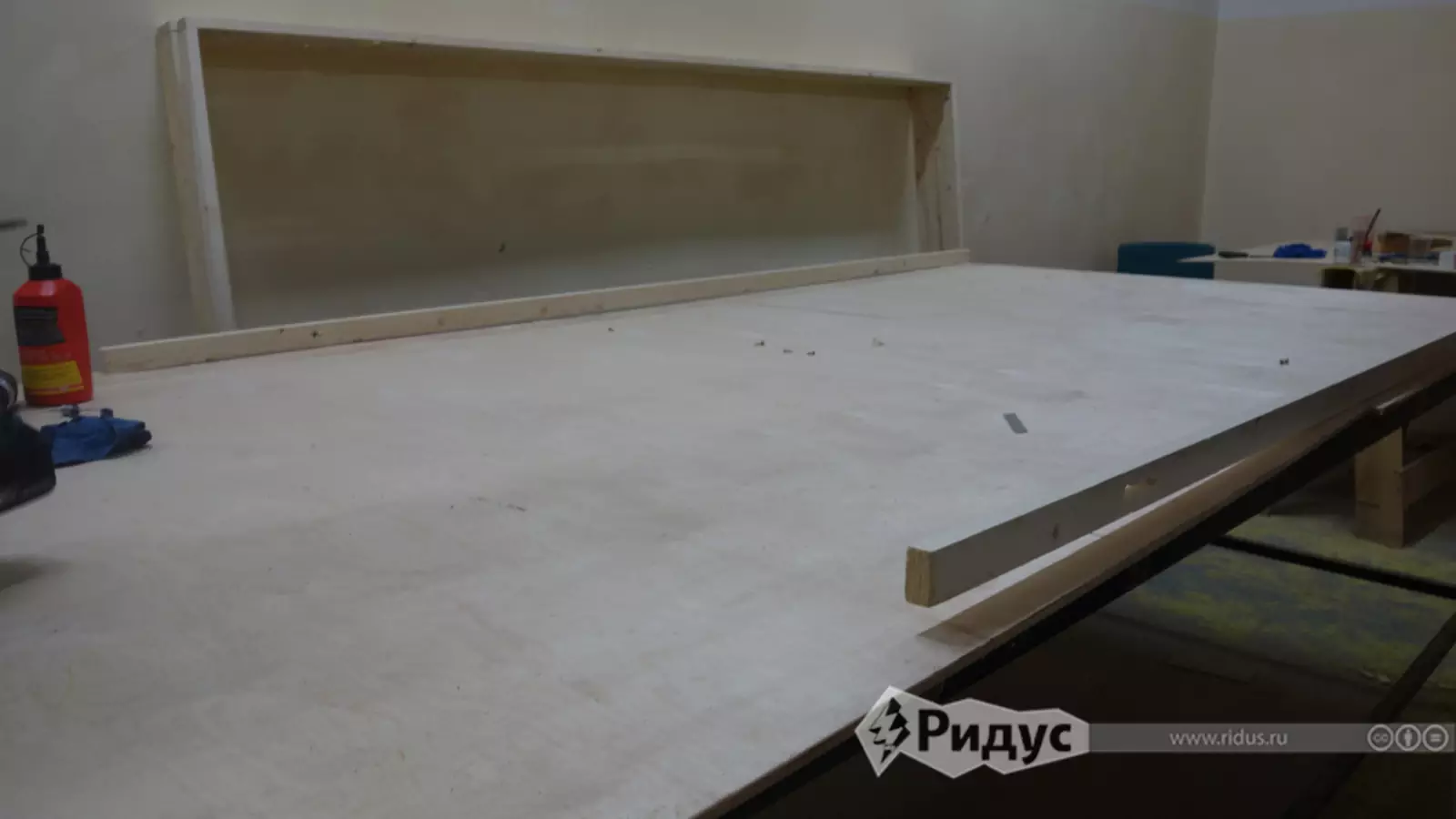 Из этого дерева выйдет что-то прекрасное. Из этого дерева выйдет что-то прекрасное.