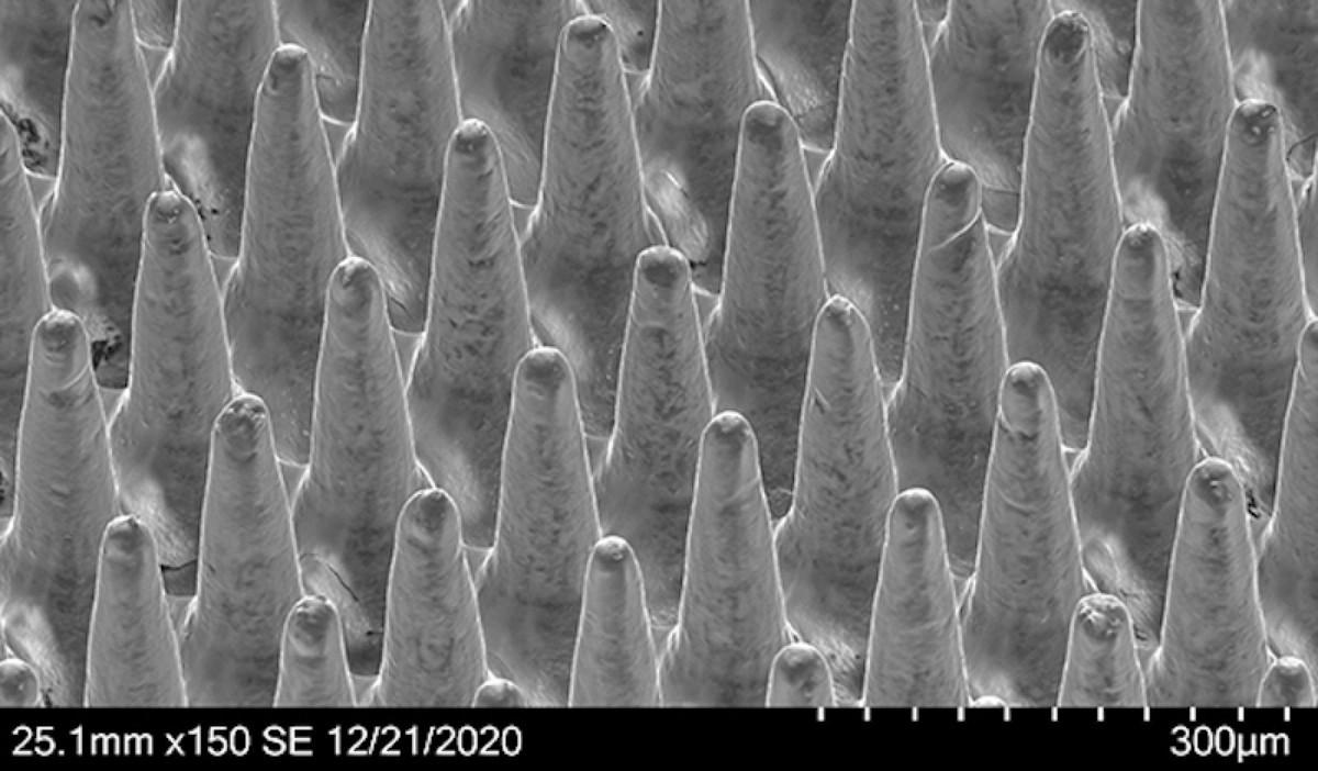 "Умный" пластырь размером всего 1х1 см содержит 5000 крошечных игл.