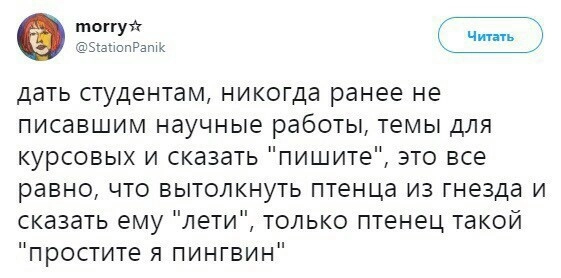 Все мы пингвины. 