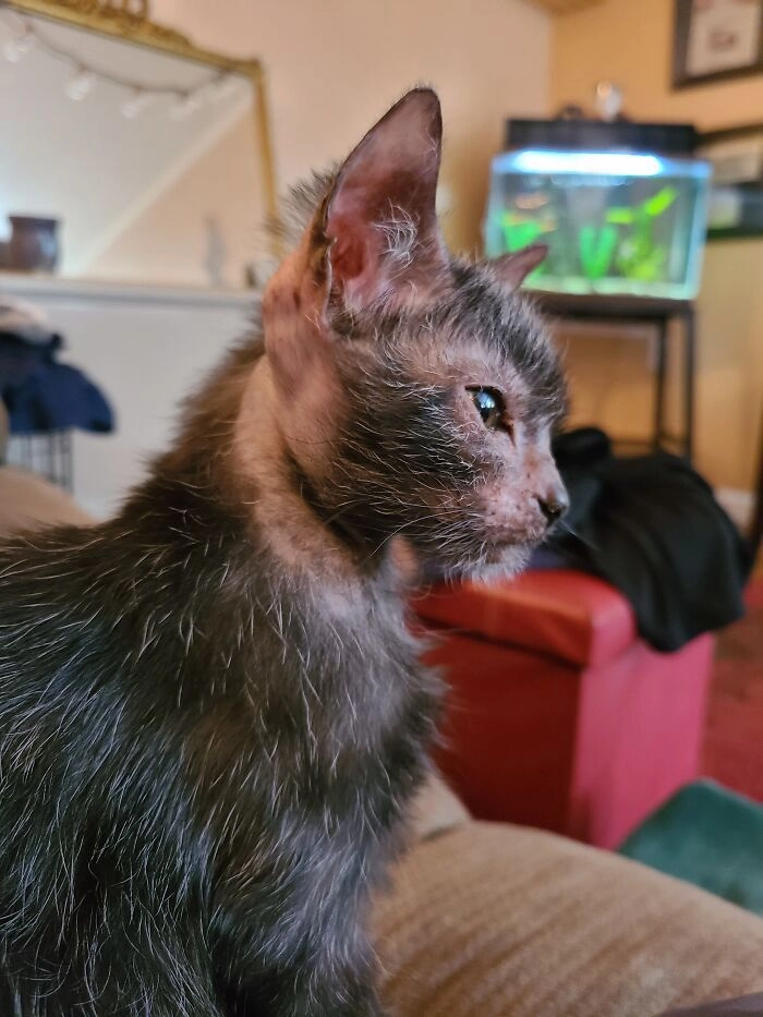 Благодаря видео в TikTok Грейси прославилась на весь мир. Благодаря видео в TikTok Грейси прославилась на весь мир.