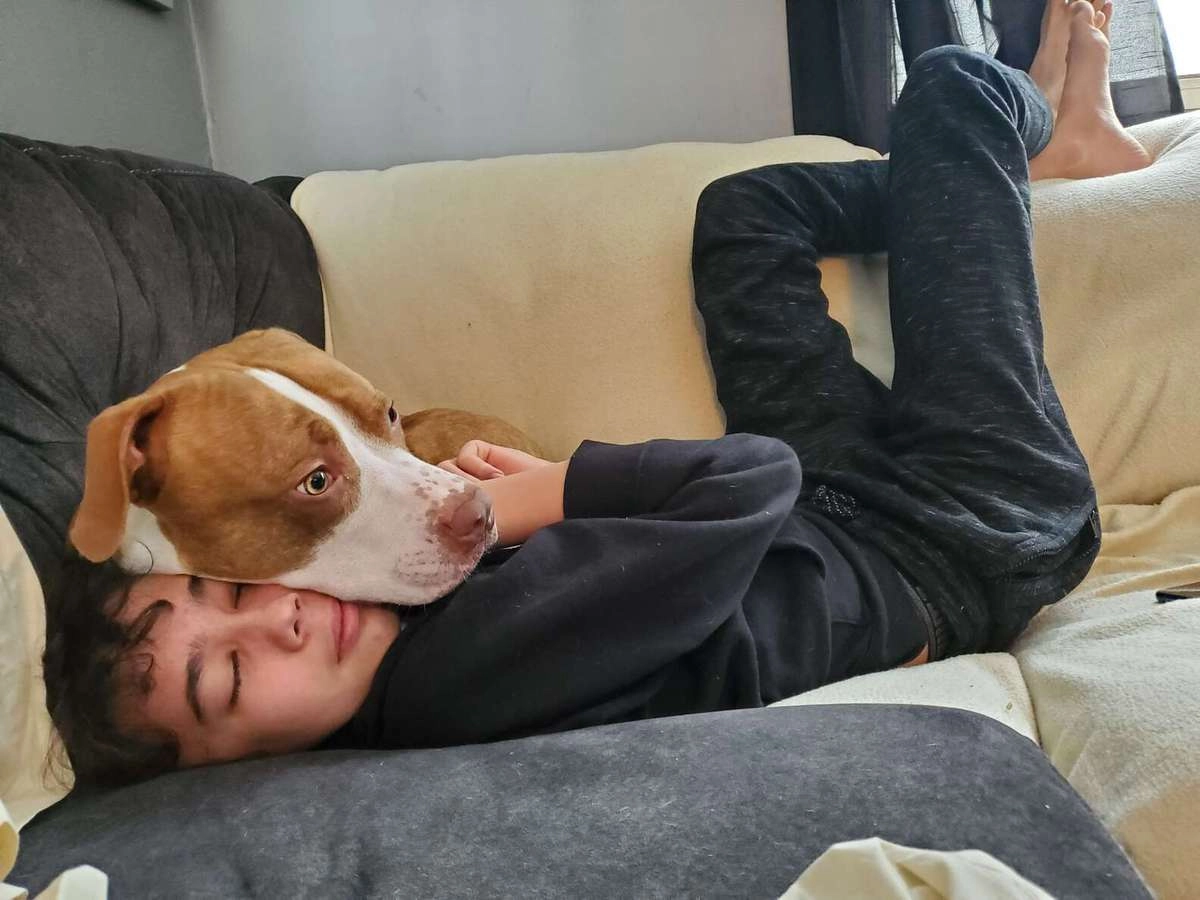 После выздоровления Дональда заботливый собакен ни на минуту не отходил от своего человека