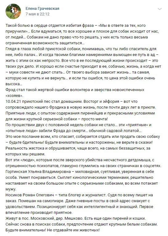 Пост елены Граевской после того, как она узнала о смерти собаки
