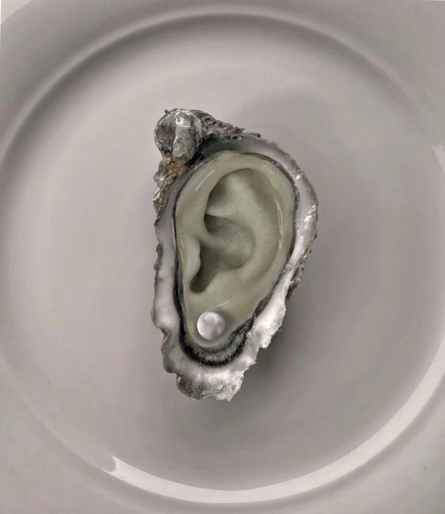 Ушная раковина. Ушная раковина.